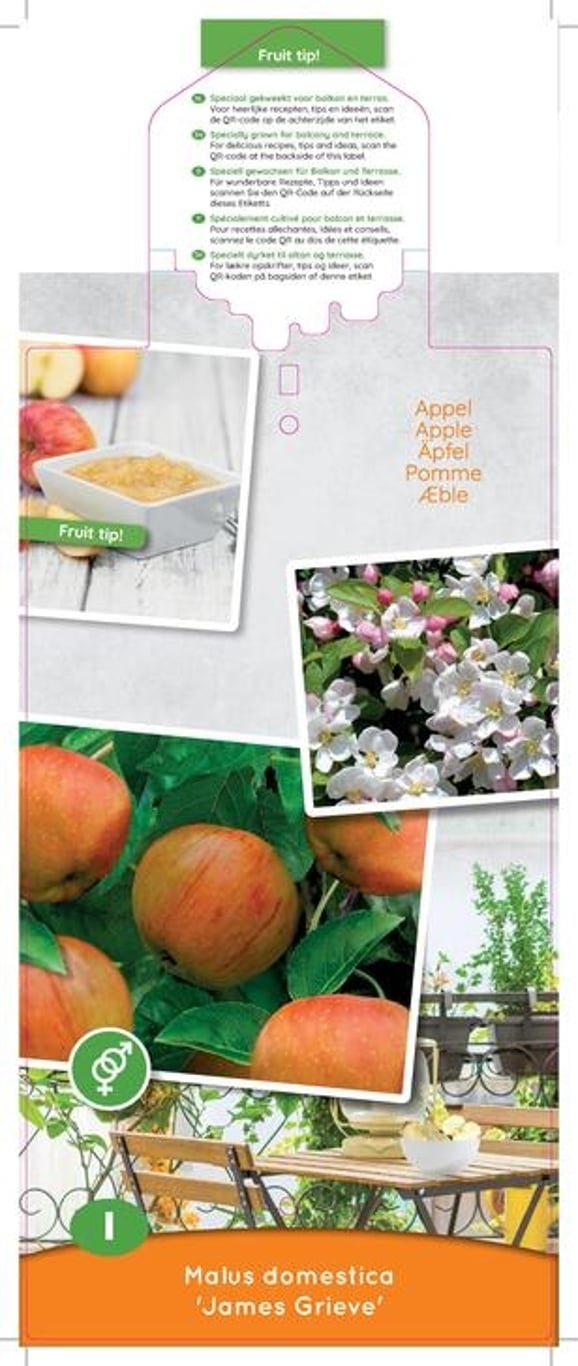 Malus d. 'James Grieve' - C5 60-80 CM Patio